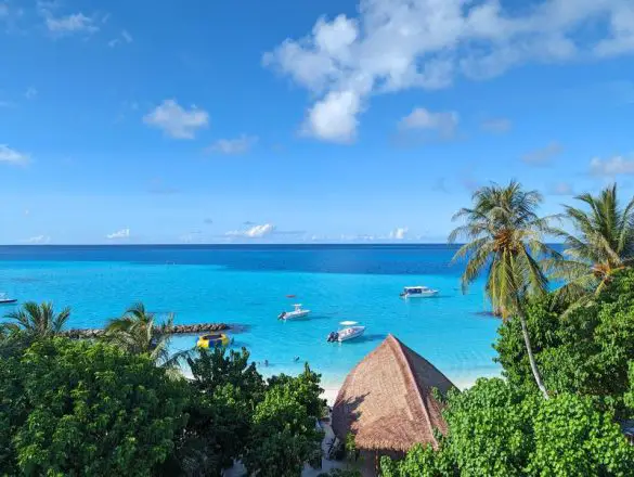 Palm trees and the blue ocean waters from the Luau Beach Inn balcony