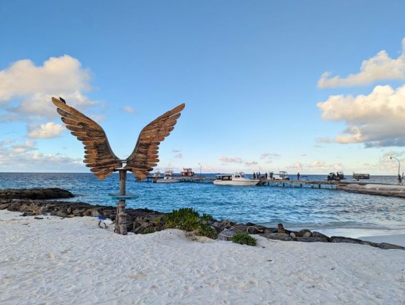 An Angel Wings photo spot with speedboats at the Fulidhoo pier