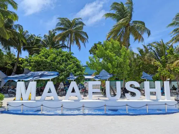 A Maafushi sign with white block letters and whale shark and manta ray sculptures