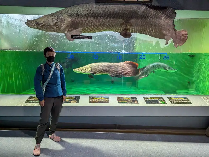 Jackie Szeto, Life Of Doing, stands in front of large Amazonian fish at the Otaru Aquarium fish tank