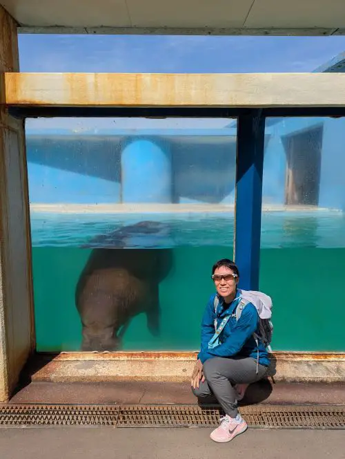 Jackie Szeto, Life Of Doing, stands next to a walrus in the tank at Otaru Aquarium