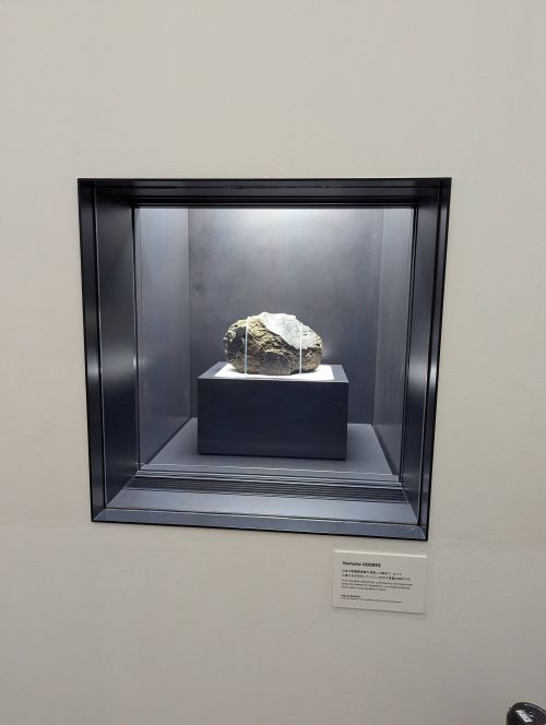Japan Pavilion showcased a rock from Mars that fell close to the Japan's Showa Station in Antarctica