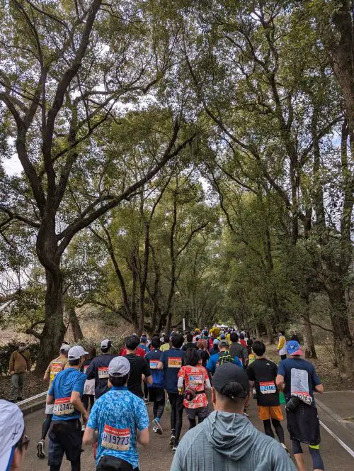Kyoto Marathon participants running through the Botanical Garden